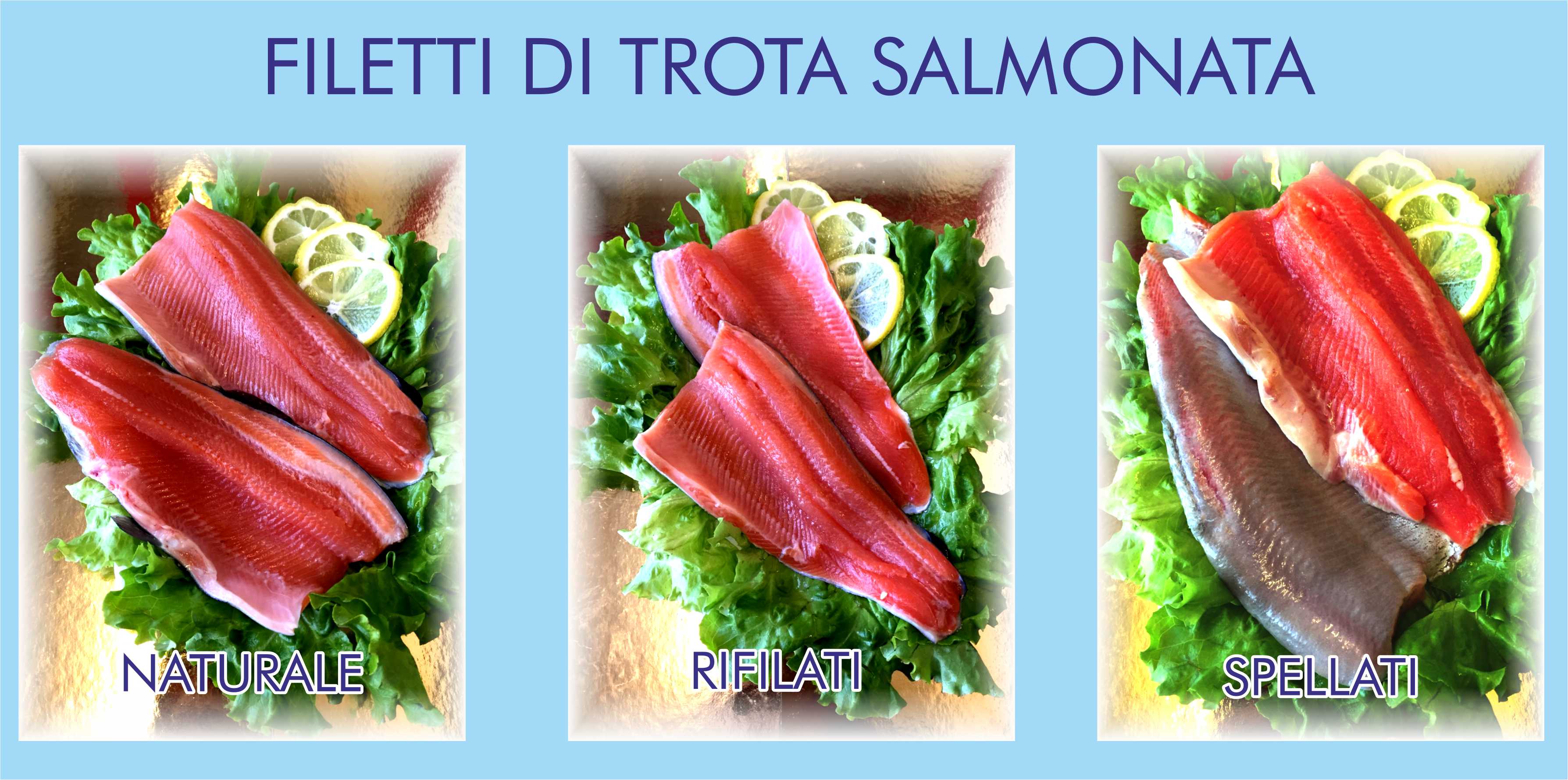 filetti_di_trota2